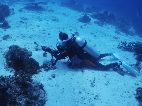 P8170195 (640x480)
