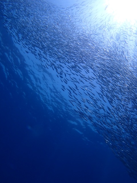 P4160062