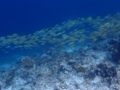 P9230079