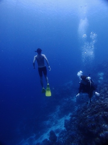 P3250713 (480x640)