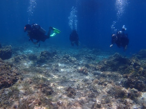 P5010100