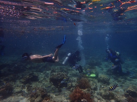 P6160686 (640x480)
