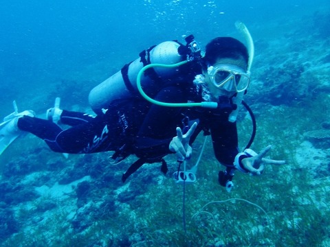 P8222331 (640x480)