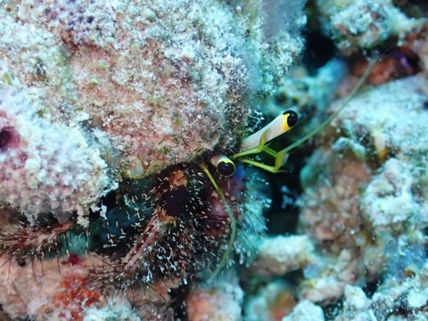 P5140053 (640x480)
