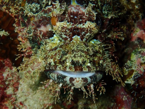 P6120022 (640x480)