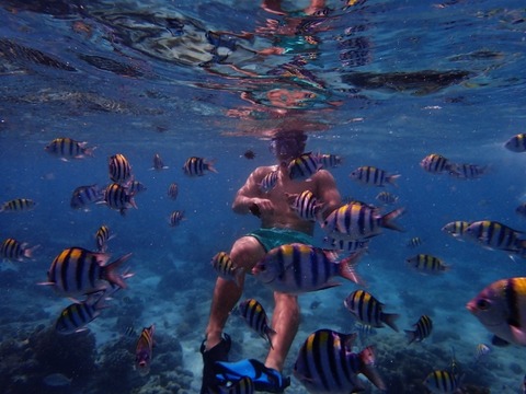 PC050019 (640x480)