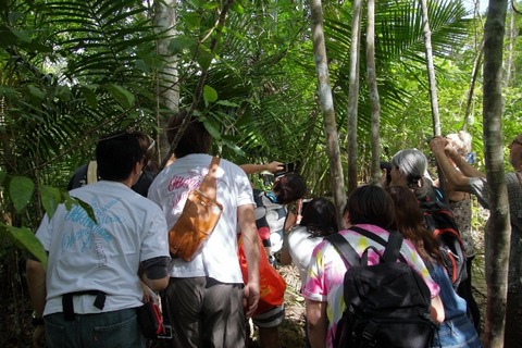 Malapascua(陸)_0106 (640x427)