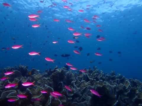 P7120002