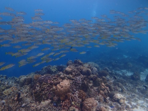 P3020079