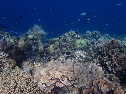 P7030017