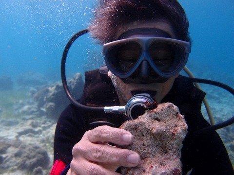 P1181778 (640x480)