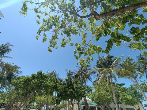 IMG20260425102634