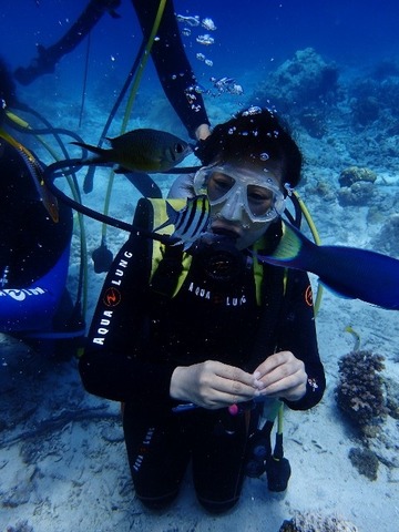 P5040521 (480x640)