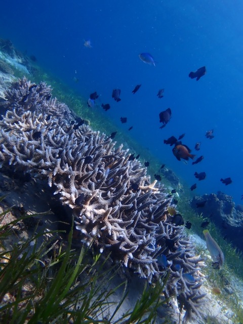 P9260030