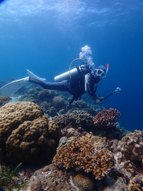 P2010034