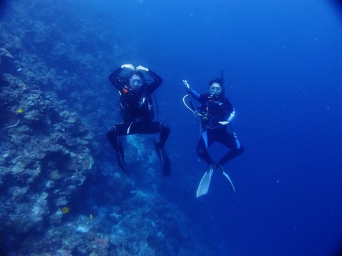 P1011889 (640x480)