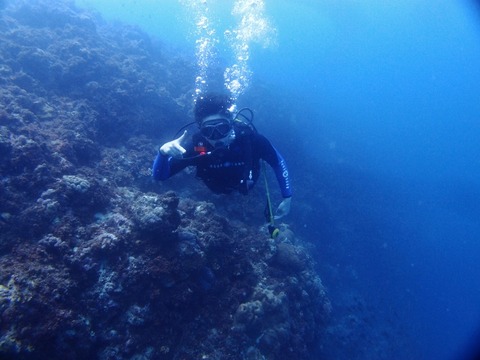 P4023596 (640x480)