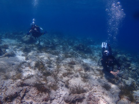 P3200018