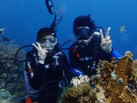 P7082172 (640x480)