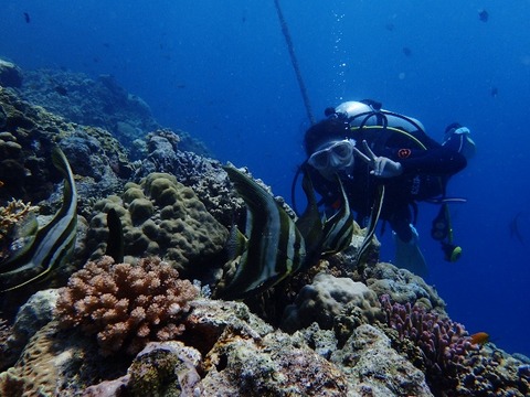 P4230756 (640x480)