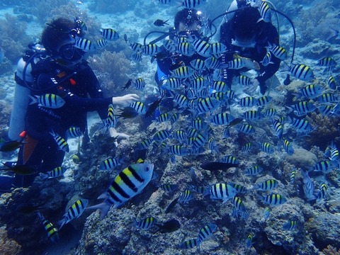 P9030035 (640x480)