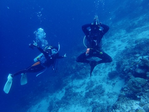 P7060085 (640x480)