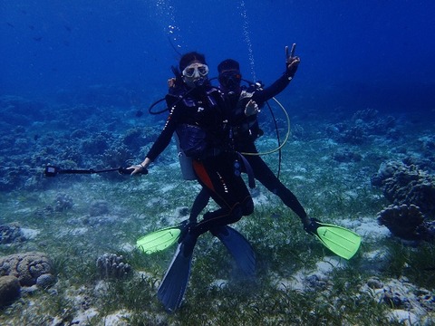 P5030455 (640x480)