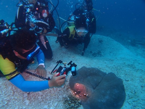 P8084426 (640x480)