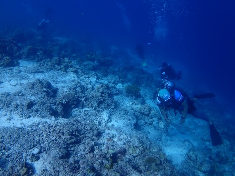 P5040001