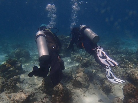 Messenger_creation_0C172135-25D5-4C86-85E0-AEC210E5D36E