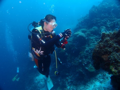 P7103651 (640x480)