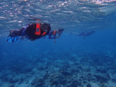 P7160062 (640x480)