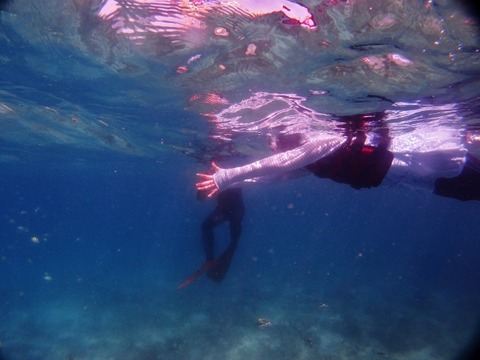 P1015135 (640x480)