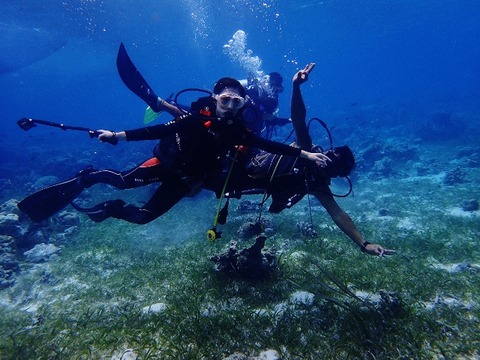 P5030446 (640x480)
