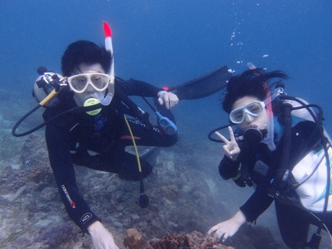 PC301120 (640x480)