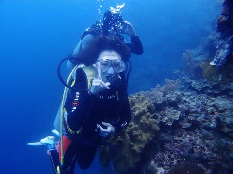 P4099661 (640x480)