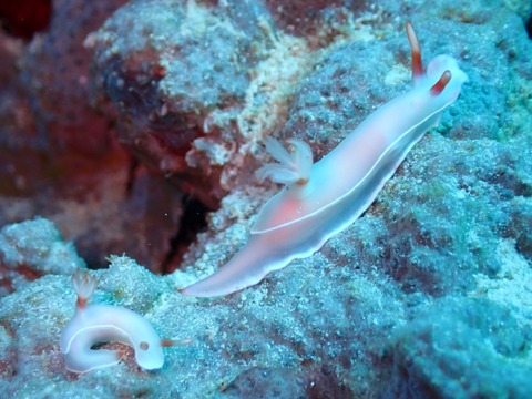 P9230037