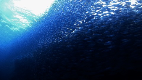 P2130137 (640x360)