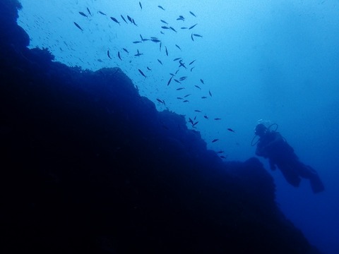 P2160148 (640x480)