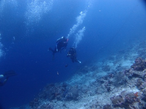 P1013416 (640x480)