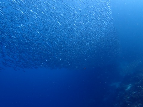 P7040050