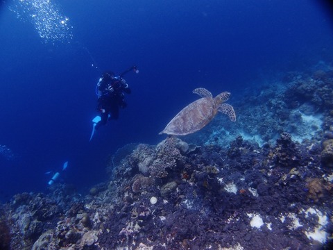 P1017136 (640x480)