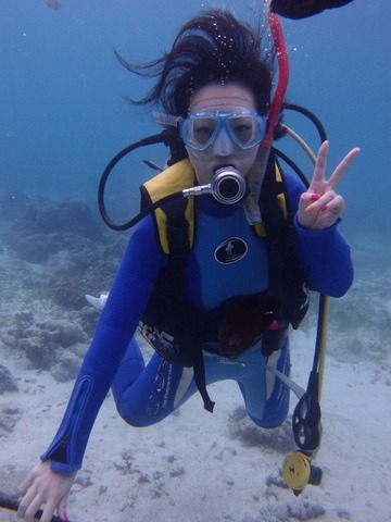 PC301141 (480x640)