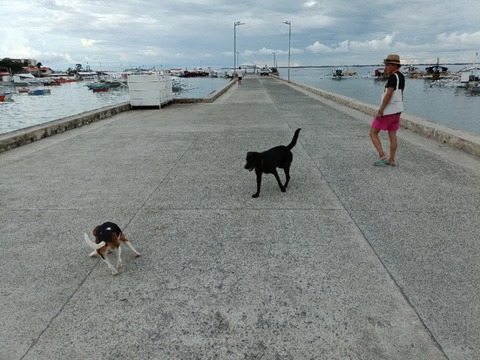 IMG20250911160606