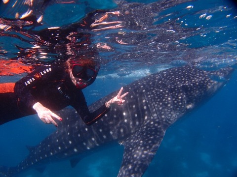 PB077917 (640x480)
