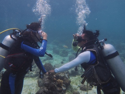 P7270017 (640x480)