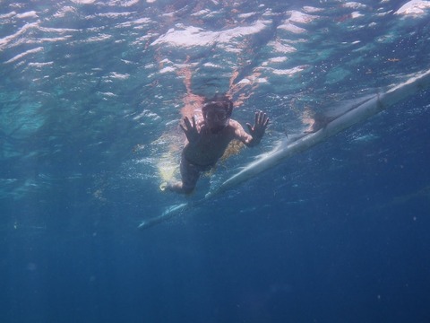 P9230065 (640x480)