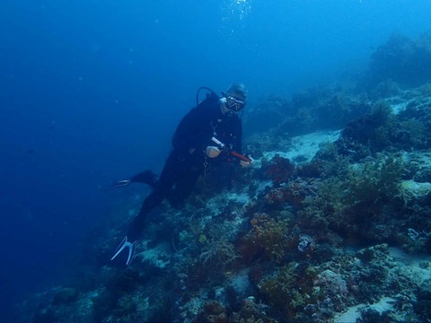 Messenger_creation_E617E20D-88F3-4015-A116-CA5C0F870A48