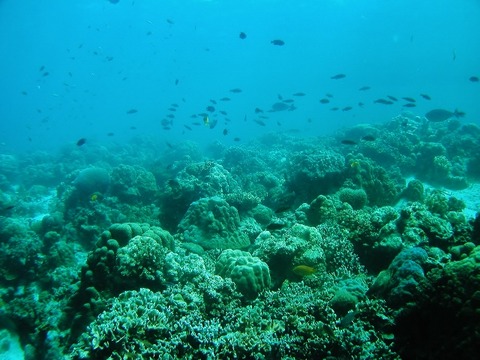 P1010020 (640x480)