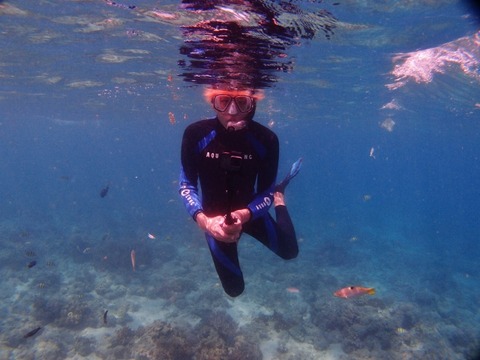 P1014395 (640x480)